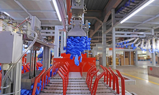 Guanto del nitrito di fabbricazione che fa macchina che fabbrica il motore di potere di addestramento del motore di vendita della Cina vendite tecniche delle parti