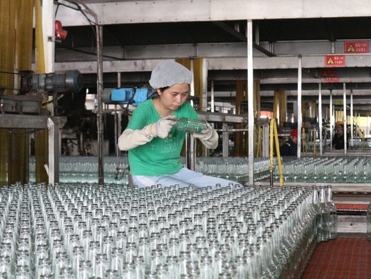 Macchina per la fabbricazione di bottiglie di vetro personalizzabile per le vostre esigenze di produzione