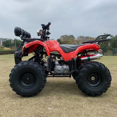Atv a quattro ruote motrici Beach Buggy 4x4 1000cc