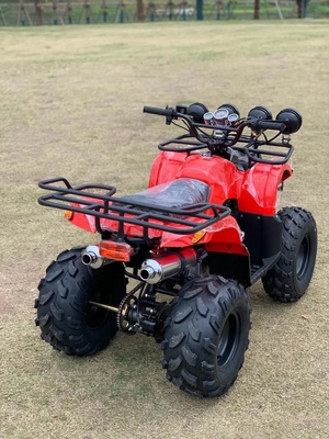 Atv a quattro ruote motrici Beach Buggy 4x4 1000cc