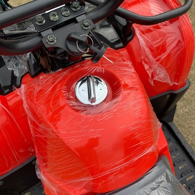 Atv a quattro ruote motrici Beach Buggy 4x4 1000cc