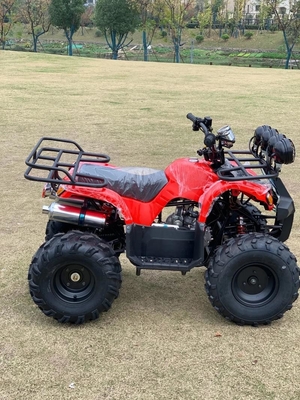 Atv a quattro ruote motrici Beach Buggy 4x4 1000cc