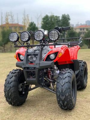 Atv a quattro ruote motrici Beach Buggy 4x4 1000cc